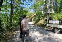 영주국유림관리소,국유림 대부·사용허가지 실태조사 실시 – 사용허가지 타용도 사용여부 및 불법산지전용 점검