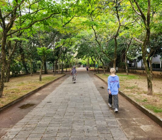 걷기는 최고의 보약이다: 인간이 걷도록 설계된 생물학적 이유 Two people walking down a path in a park