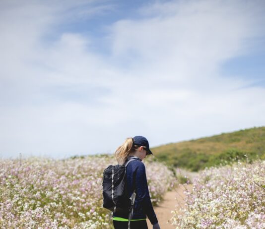 한국인 일상 속 ‘마음챙김 걷기’ 열풍… 작지만 확실한 건강 습관 만들기 woman walking between flower fields
