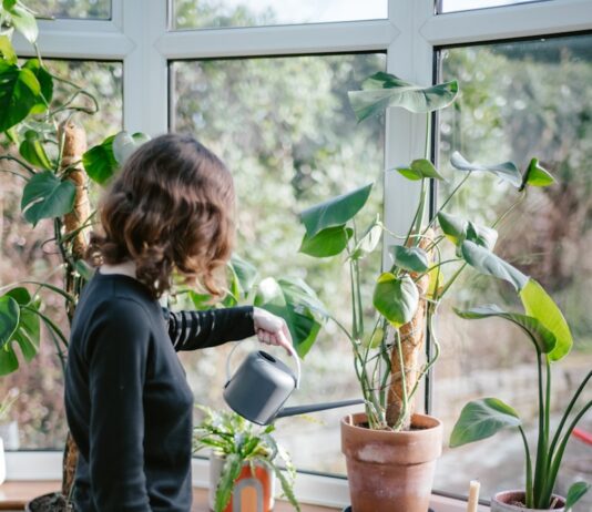만성피로, 일상에서 벗어나기…바쁜 현대인을 위한 건강 루틴 제안 a woman watering plants in a window sill