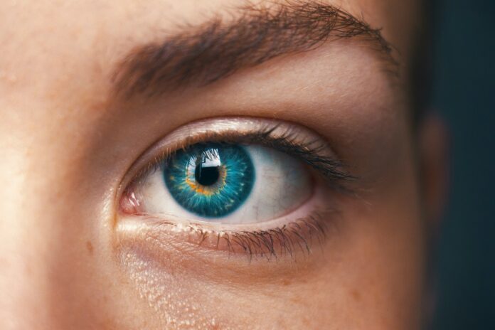 Photo by Amanda Dalbjörn selective focus of blue-eyed person