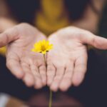 하루 10분 ‘마음 챙김’이 주는 건강 습관 효과…매일 실천법은? selective focus photography of woman holding yellow petaled flowers