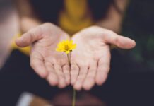 하루 10분 ‘마음 챙김’이 주는 건강 습관 효과…매일 실천법은? selective focus photography of woman holding yellow petaled flowers