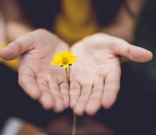 하루 10분 ‘마음 챙김’이 주는 건강 습관 효과…매일 실천법은? selective focus photography of woman holding yellow petaled flowers