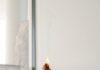 일상 속 자연스러운 건강관리, ‘대체요법’이 주목받는 이유 person holding orange flower in front of white wall